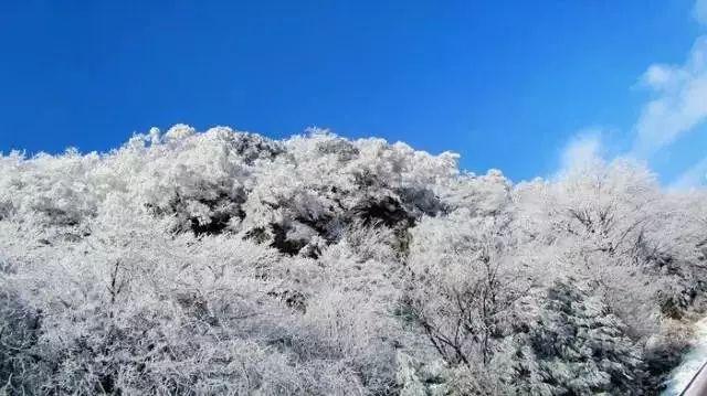 面食做法大全带图解怎么做-探索问题 答案不藏